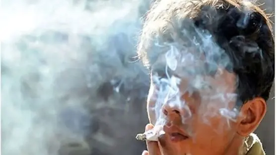 زنگ خطر در مدارس!/ ماری‌جوانا جایگزین کتاب و قلم می‌شود؟