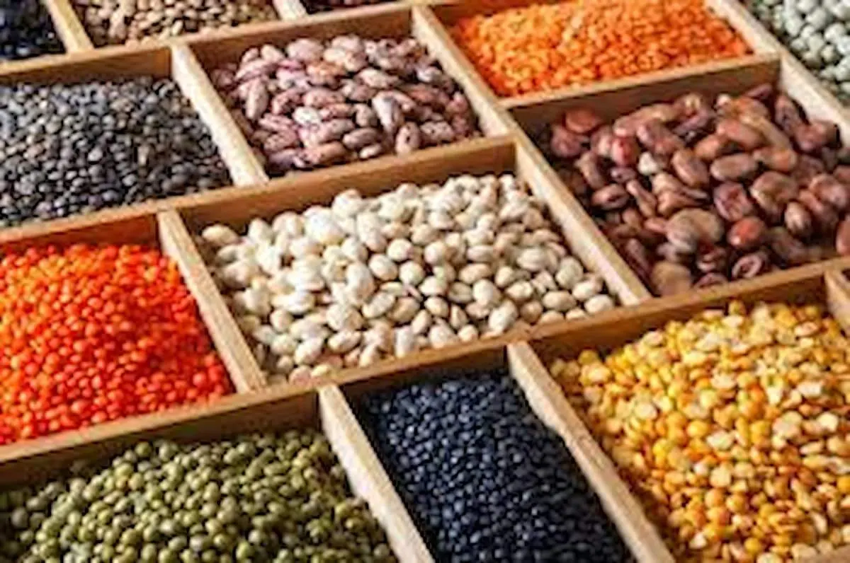 قیمت انواع حبوبات امروز یکشنبه ۱ تیر ۱۴۰۴