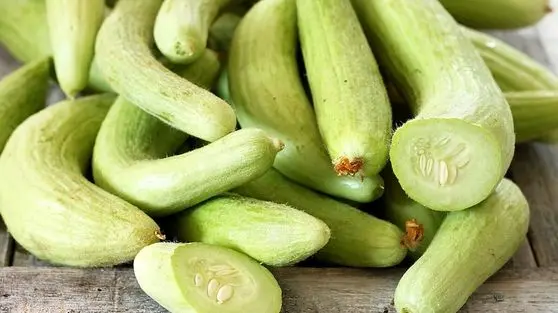 راز گیاهی که چربی خون را هدف می‌گیرد: درمان چربی خون بالا را بشناسید