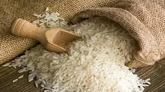 قیمت جدید برنج ایرانی و خارجی امروز ۱۷ اسفند ۱۴۰۴ مشخص شد