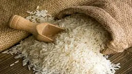 شوک قیمتی در بازار برنج ایرانی: طارم و هاشمی همچنان گران/ نیم‌دانه چند شد؟