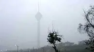 تهران در تسخیر بادهای خطرناک/ مردم مراقب سقوط اجسام باشند