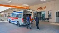 مسمومیت ناشی از قارچ‌های سمی: ۴۸ نفر در معرض خطر شدید قرار گرفتند