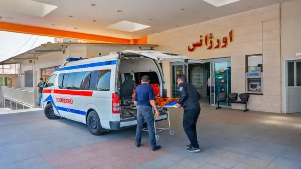 شمار نگران‌کننده قربانیان قارچ‌های مرگبار در ایران