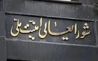 انتصاب پرحاشیه در شورای عالی امنیت ملی
