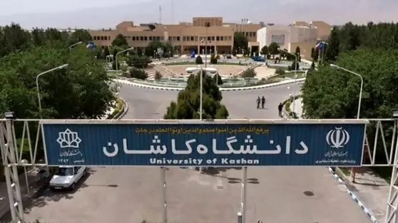 پیدا شدن مارمولک در غذای دانشجو!