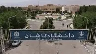 پیدا شدن مارمولک در غذای دانشجو!
