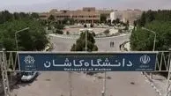 پیدا شدن مارمولک در غذای دانشجو!