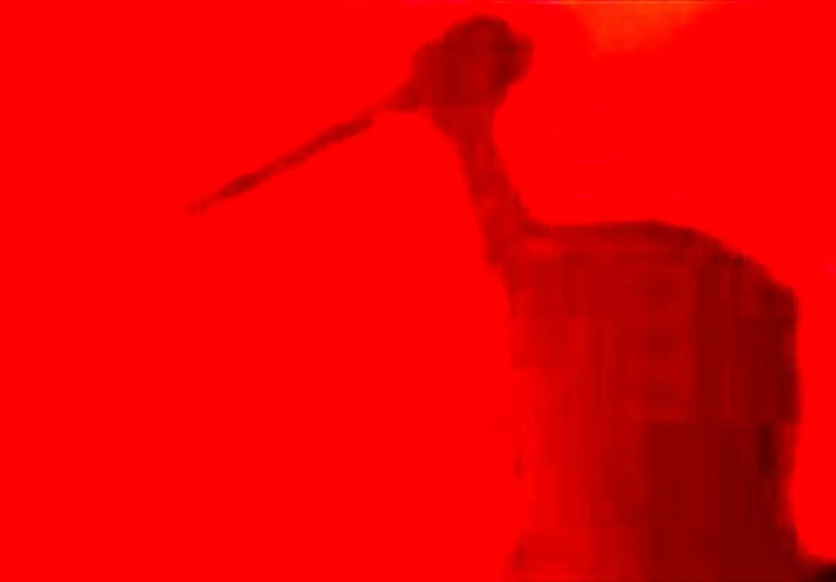 قتل در مسجد باغ فیض تهران؛ امام جماعت با ضربات چاقو جان باخت
