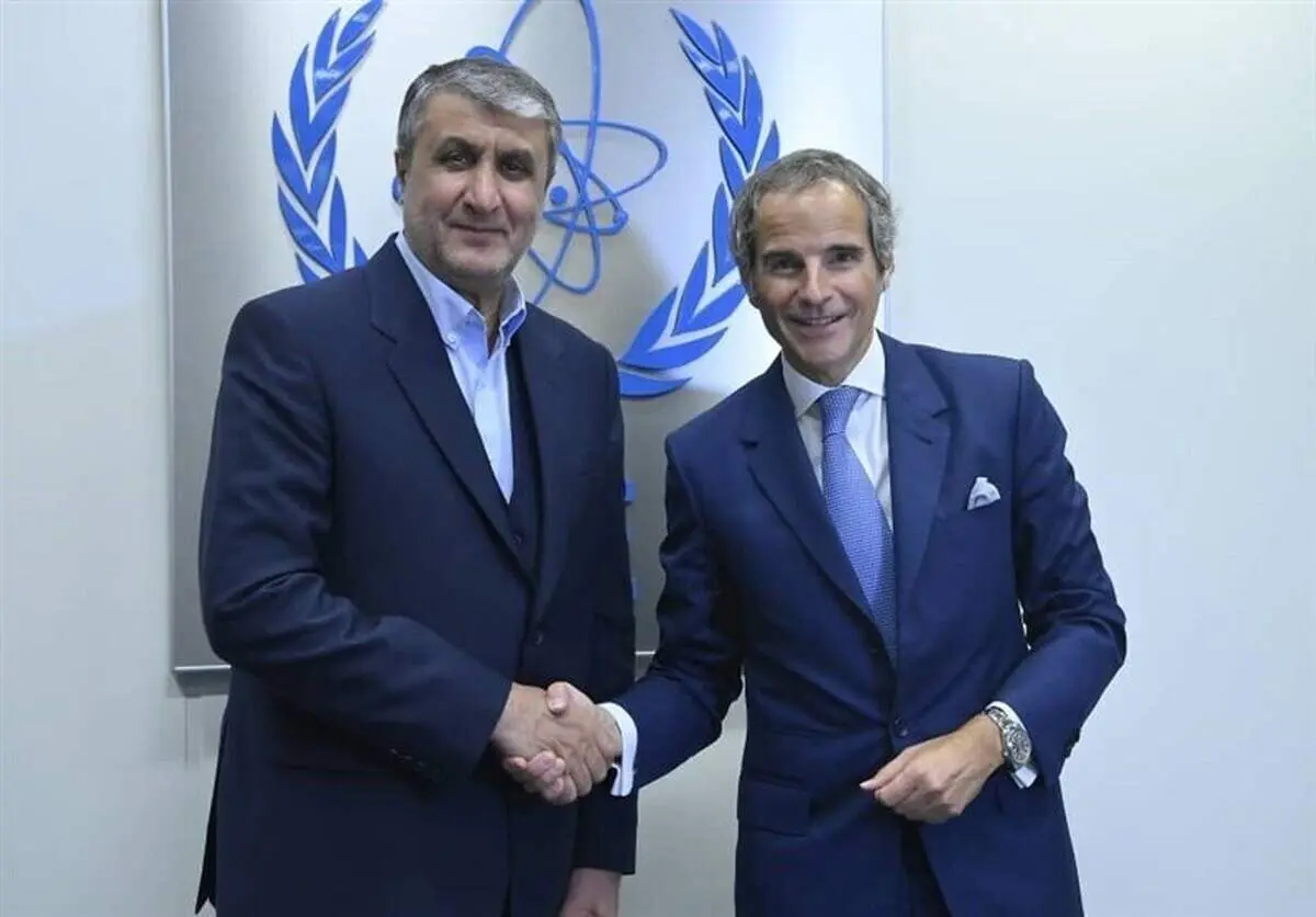 ملاقات مهم گروسی و رییس سازمان انرژی اتمی
