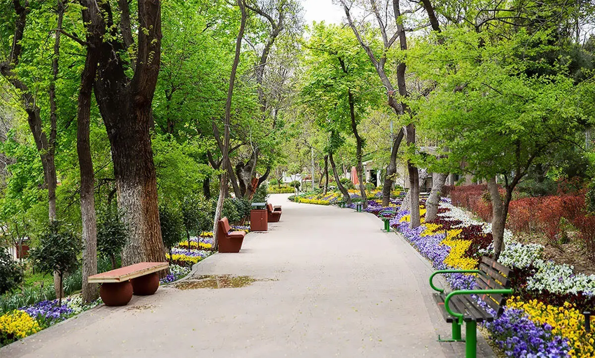پارک قیطریه از خطر ساخت و ساز رهایی یافت؛ اقدام شورا برای حفظ فضای سبز
