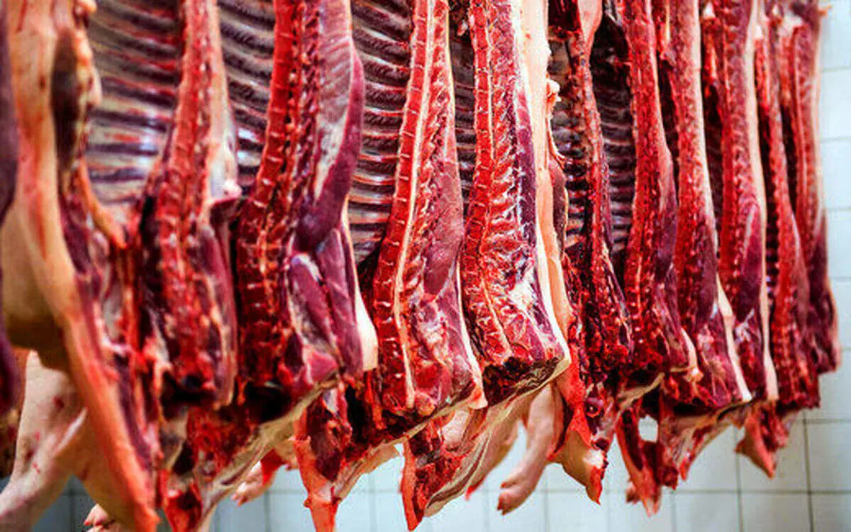 نرخ گوشت خورشتی و گوسفندی امروز ۲۳ مهر ۱۴۰۴ اعلام شد