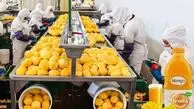 اسموتی یا آبمیوه؛ کدام گزینه سالم‌تر و مغذی‌تر است؟