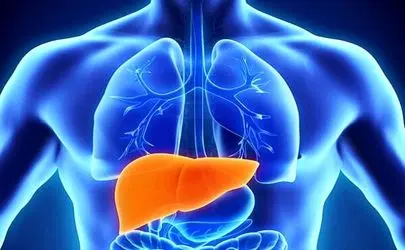  آیا داروهایی که روزانه مصرف می‌کنید، سکوت مرگبار کبدتان را رقم می‌زنند؟