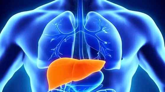 افشاگری پزشکی: دو قاتل خاموش کبد چرب 