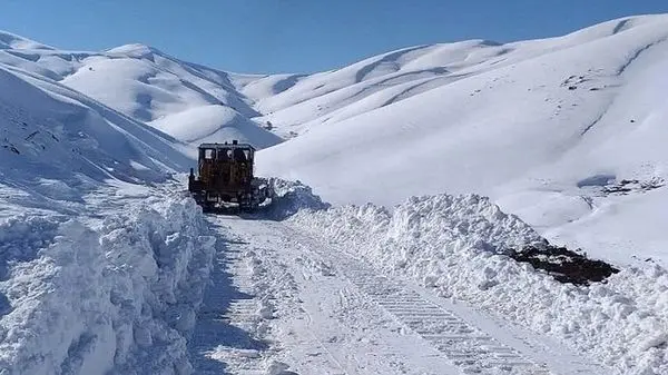 بازیگوشی ببر باغ‌وحش مشهد در اولین برف زمستانی