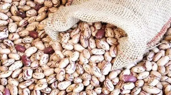 خبر خوش از بازار حبوبات رسید