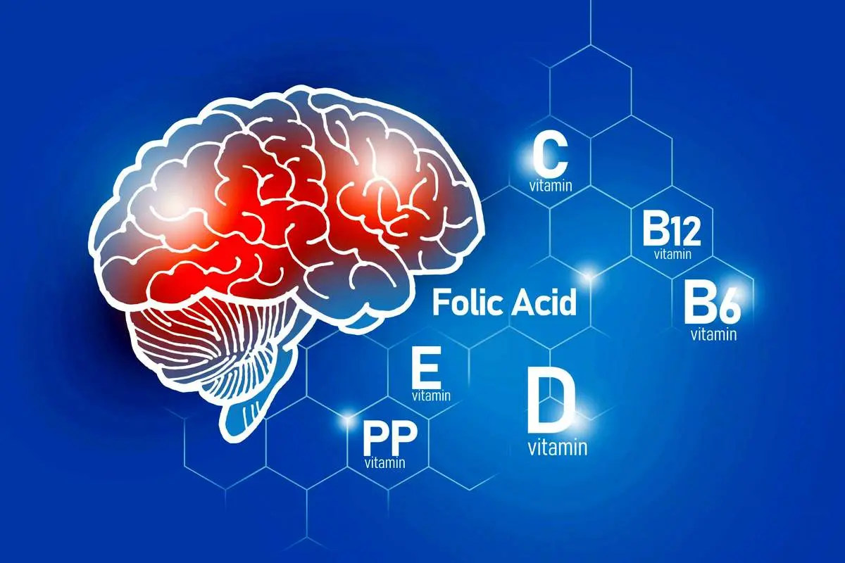 ۴ ویتامین کلیدی برای تقویت حافظه و سلامت مغز
