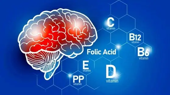 چگونه تغذیه مناسب می‌تواند هوش شما را در جوانی تقویت کند؟