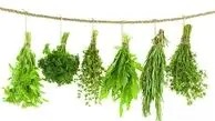 روش درست خشک کردن سبزی در یک چشم بهم زدن |  تمام عمر اشتباهی سبزی خشک می کردیم 