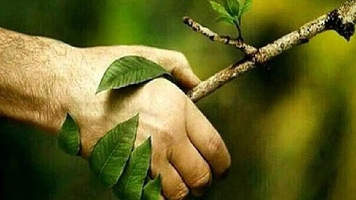 زیباترین پیام‌های تبریک سیزده بدر برای هر سلیقه: از رسمی تا دوستانه و عاشقانه