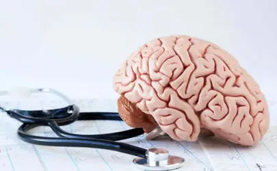  آیا “ساعت کاری” ما، کلید پنهان محافظت در برابر آلزایمر است؟