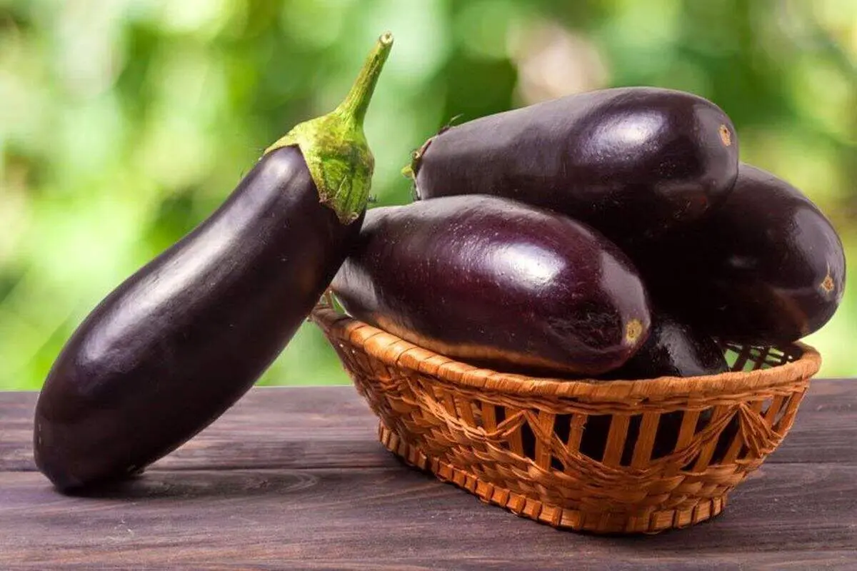 افشاگری علمی درباره بادمجان: چرا پوست آن را نباید جدا کنیم؟
