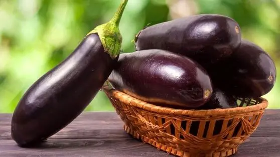 افشاگری علمی درباره بادمجان: چرا پوست آن را نباید جدا کنیم؟