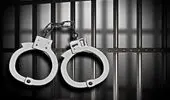 بازداشت فوری شرور قمه‌کش مقابل دانشگاه در تهران