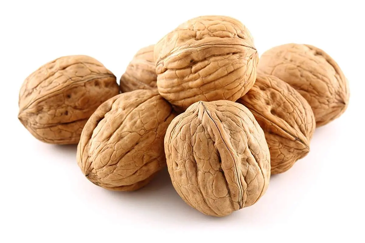۹ خاصیت اعجاب‌آور گردو