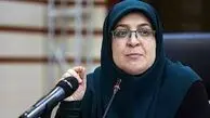 مهاجرانی: دولت مدافع آموزش زبان‌های محلی در کنار زبان رسمی است
