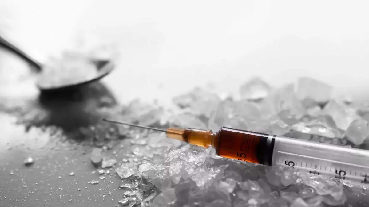 جاساز عجیب شیشه در وانیل / ۱۲ کیلو مواد مخدر در فرودگاه امام خمینی (ره) کشف شد