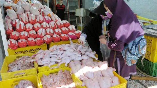 قیمت مرغ امروز ۳ دی ۱۴۰۴ اعلام شد