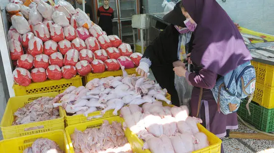  قیمت جنجالی مرغ و تخم مرغ امروز چهارشنبه ۱۳ اسفند ۱۴۰۴ اعلام شد